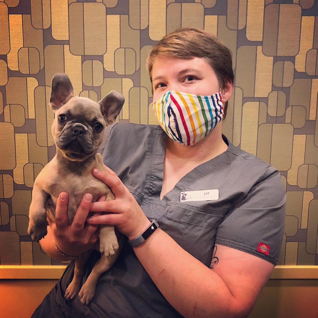 Jet City Animal Clinic