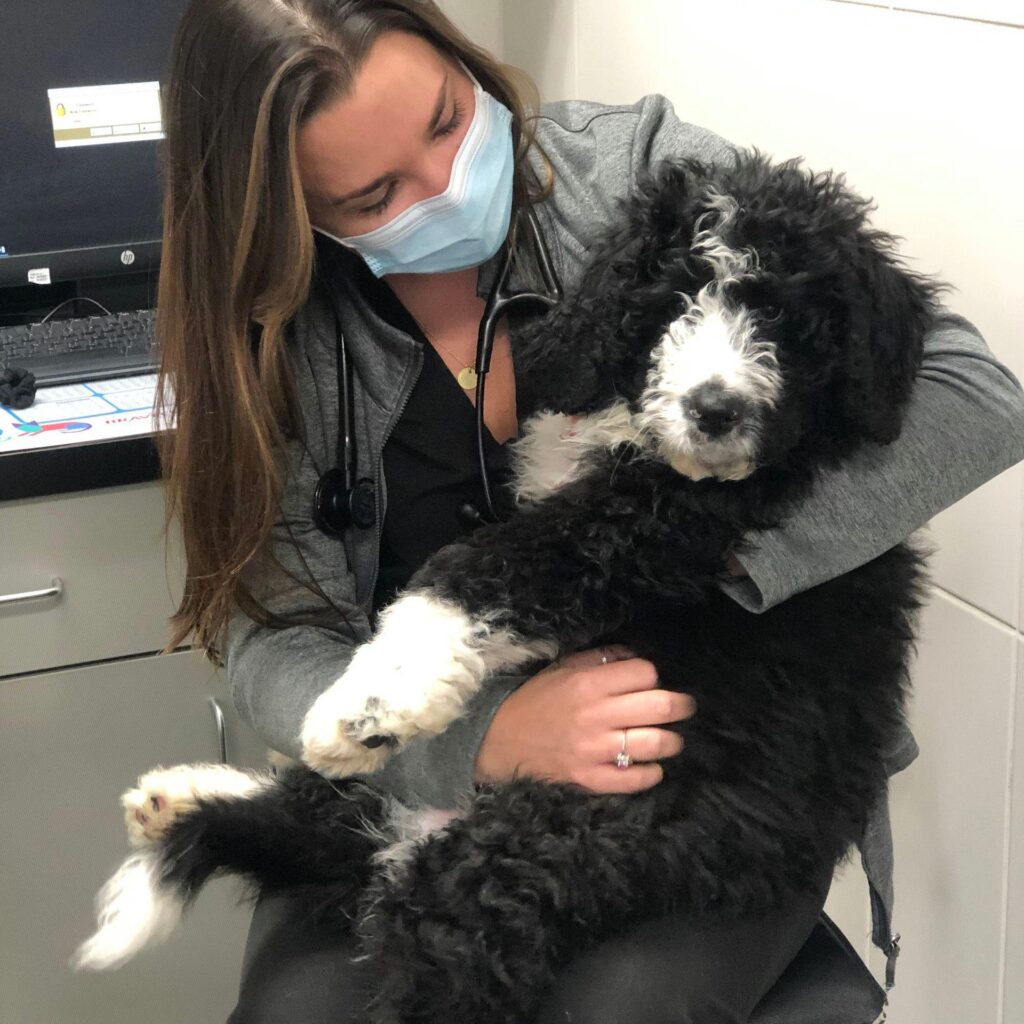City Way Animal Clinics - Fountain Square
