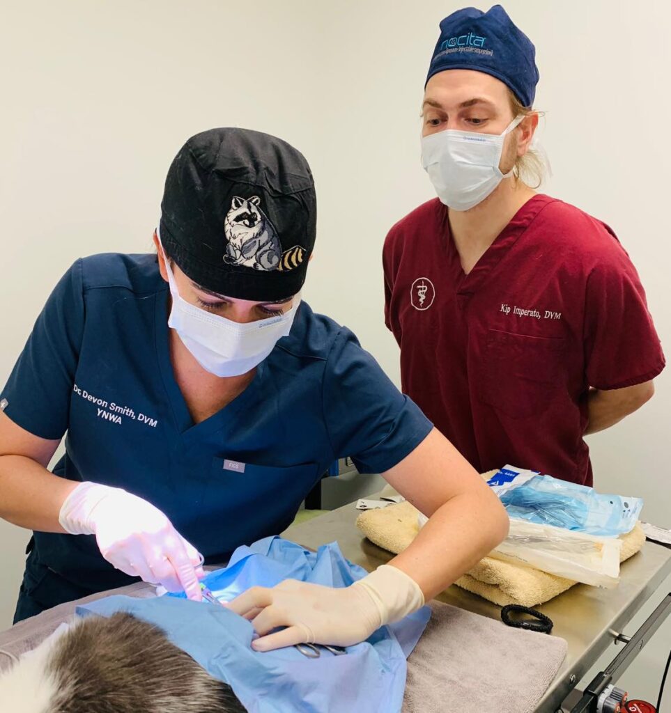 You'll Never Walk Alone - Kip Imperato DVM