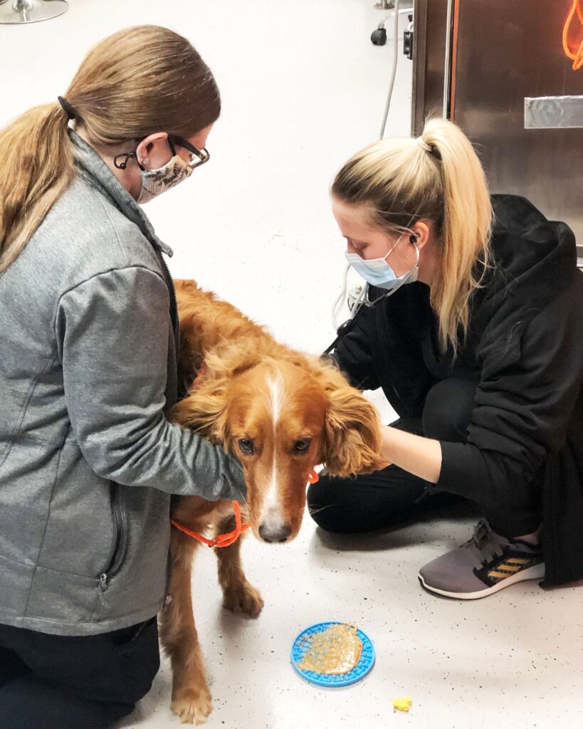 City Way Animal Clinics - Fountain Square
