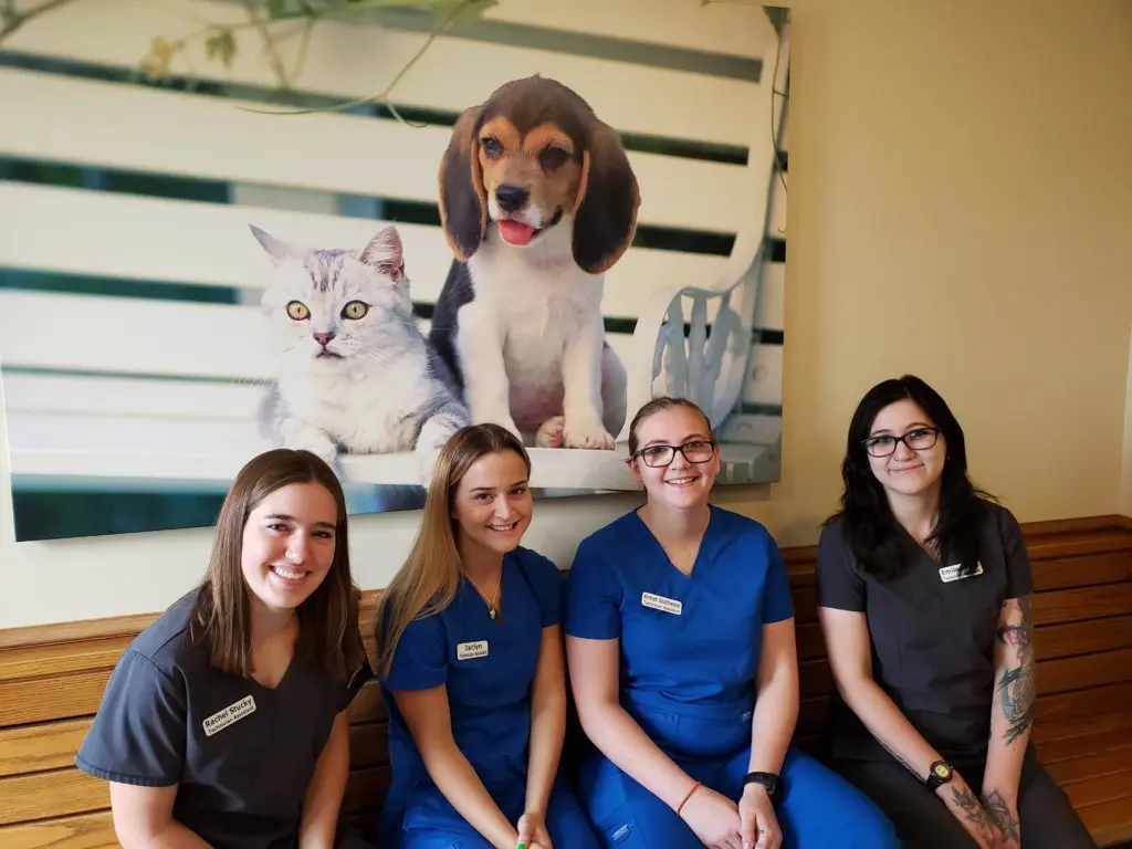 30th Street Animal Hospital