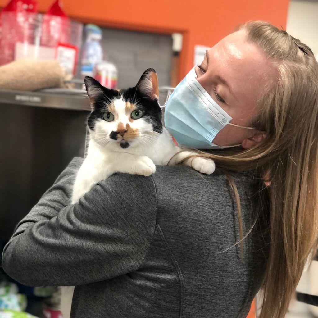 City Way Animal Clinics - Fountain Square