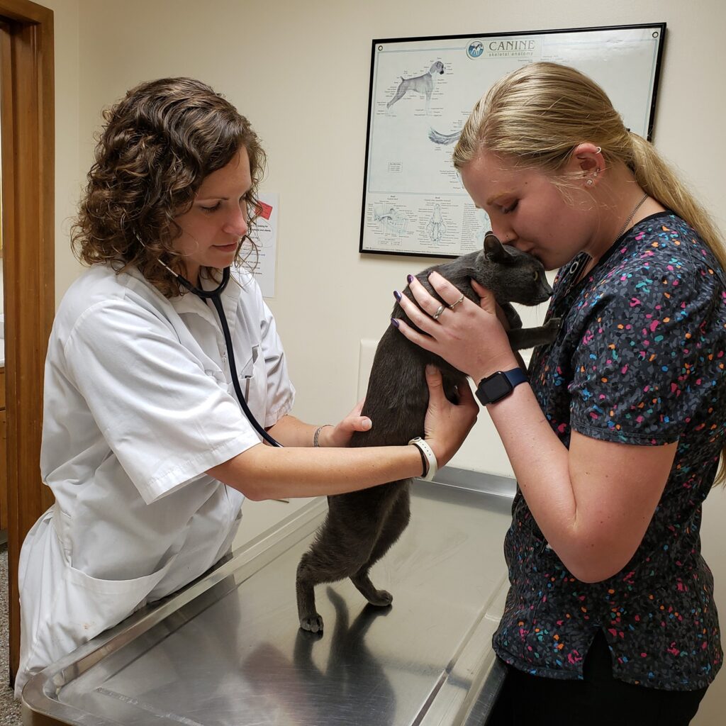 Shively Animal Clinic & Hospital