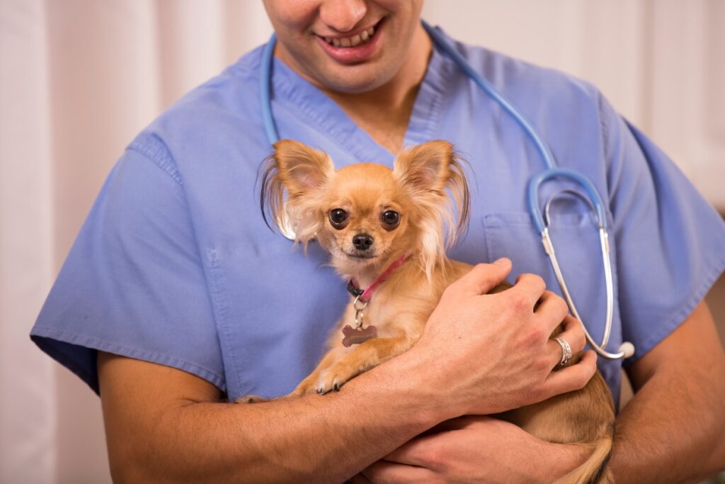 Animal Hospital of Colorado Springs