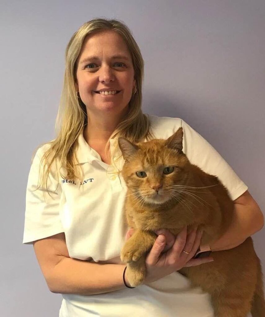Beach Pet Hospital