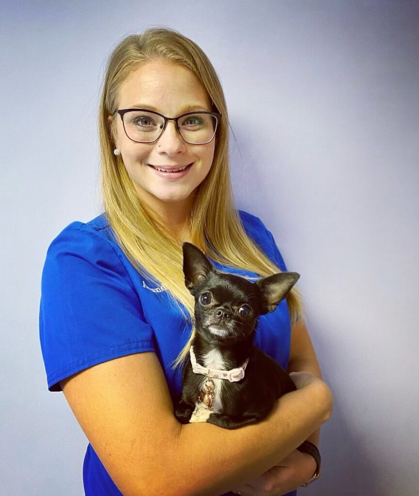 Beach Pet Hospital