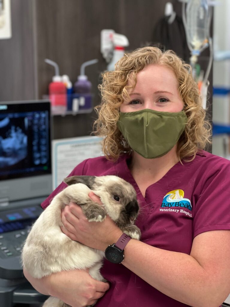 Bay Beach Veterinary Hospital