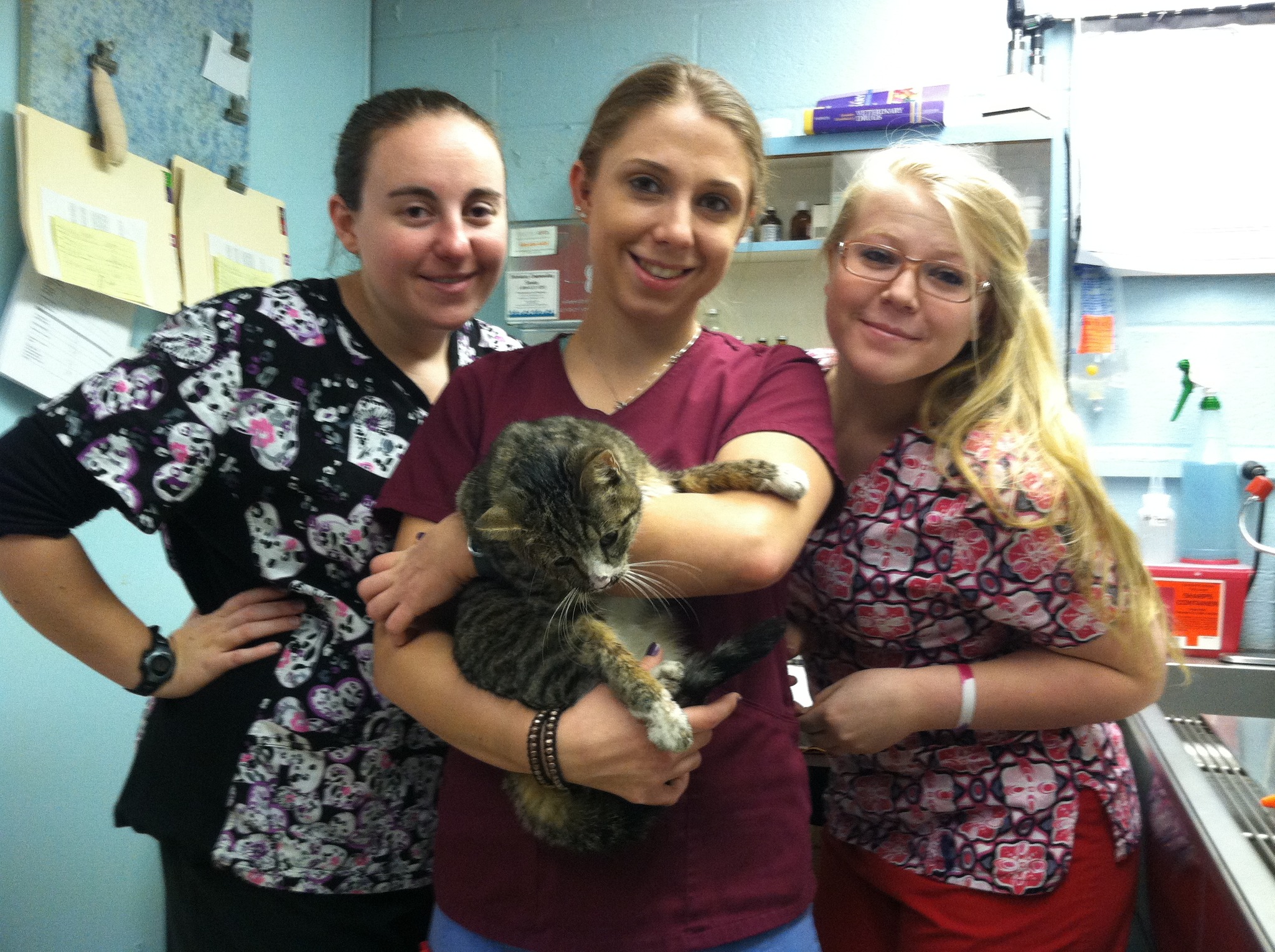 Aardmore Veterinary Hospital