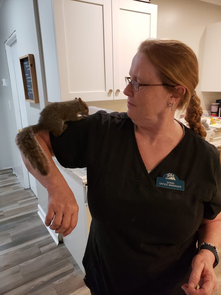 Derby City’s Crossroads Animal Hospital