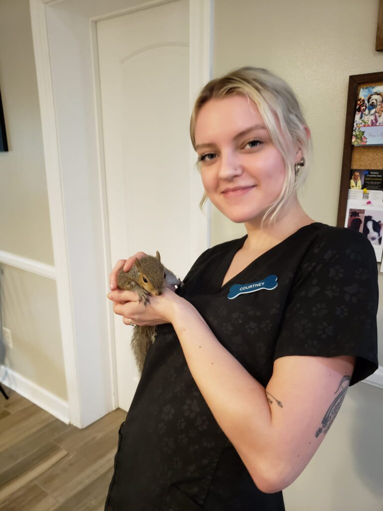 Derby City’s Crossroads Animal Hospital