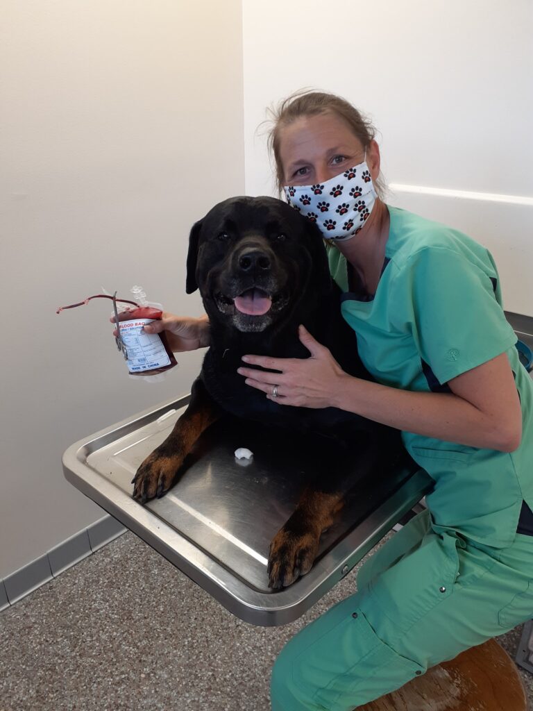 Shively Animal Clinic & Hospital