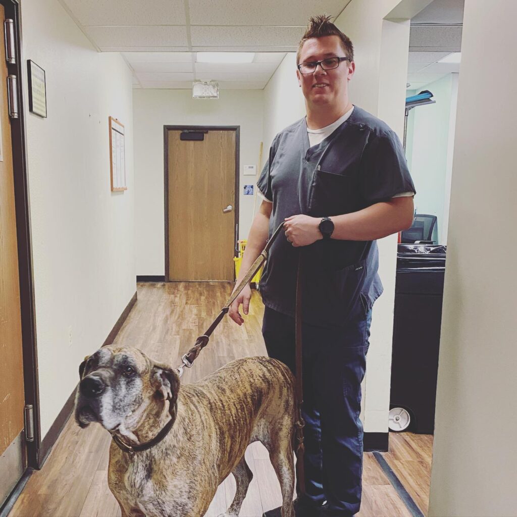 Downtown Animal Care Center