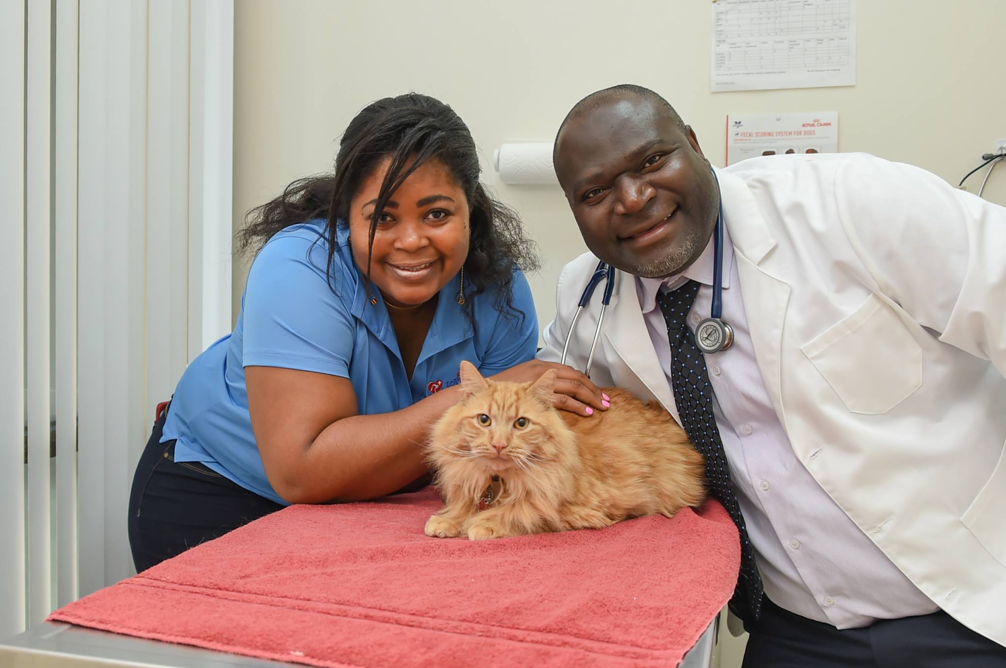 Loving Pet Care Hospital