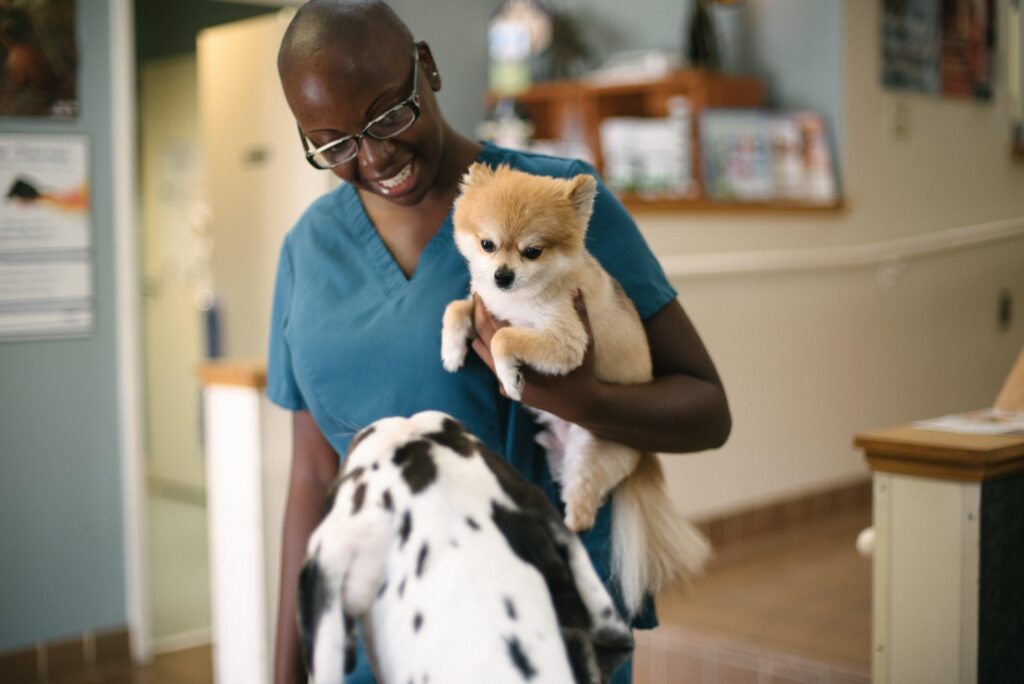 Commonwealth Animal Hospital