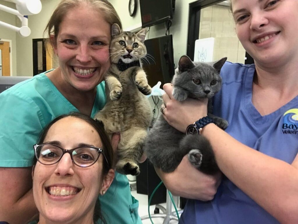 Bay Beach Veterinary Hospital