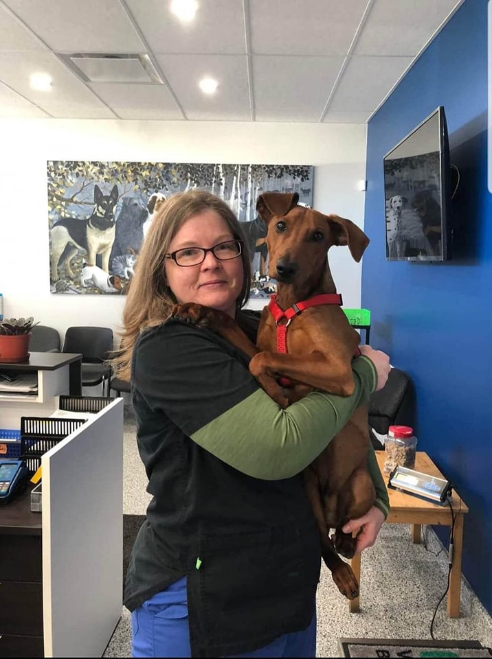 South Side Animal Hospital