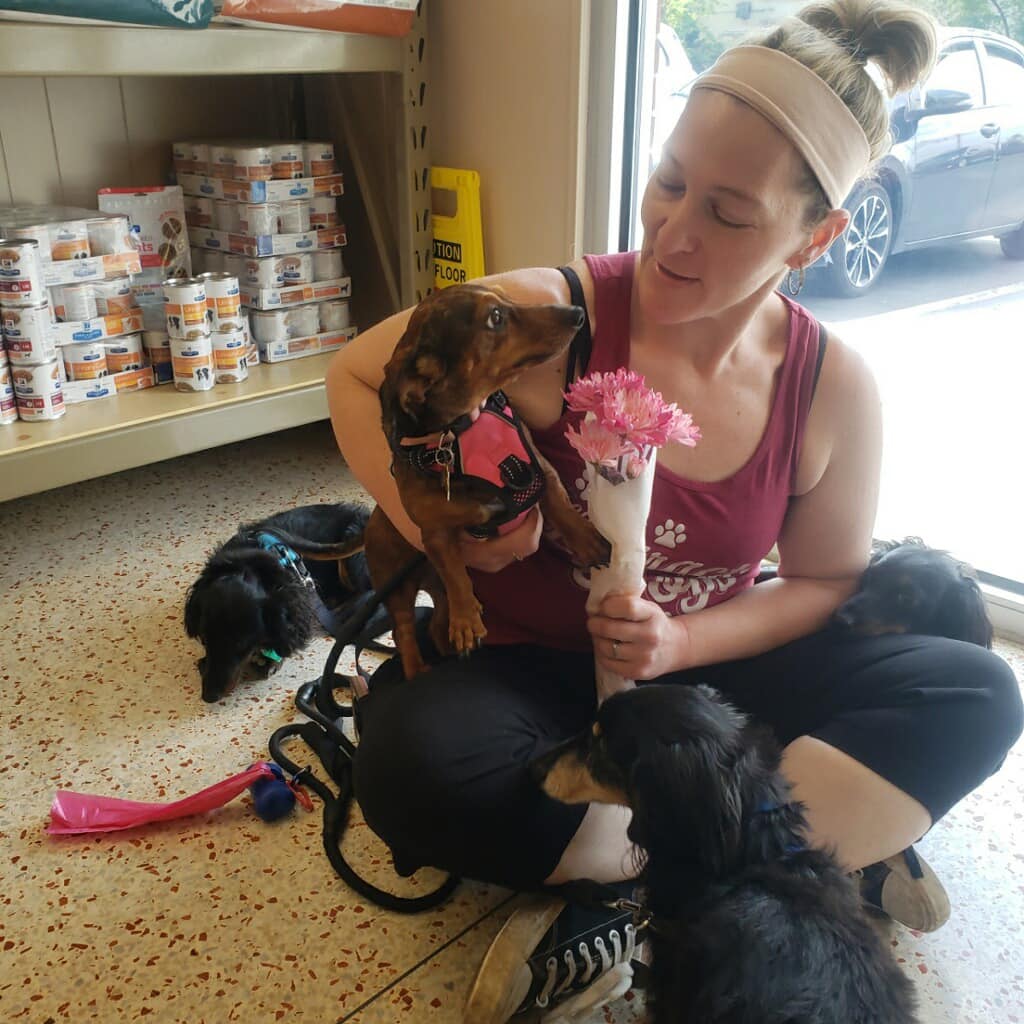 Shelby Street Animal Clinic