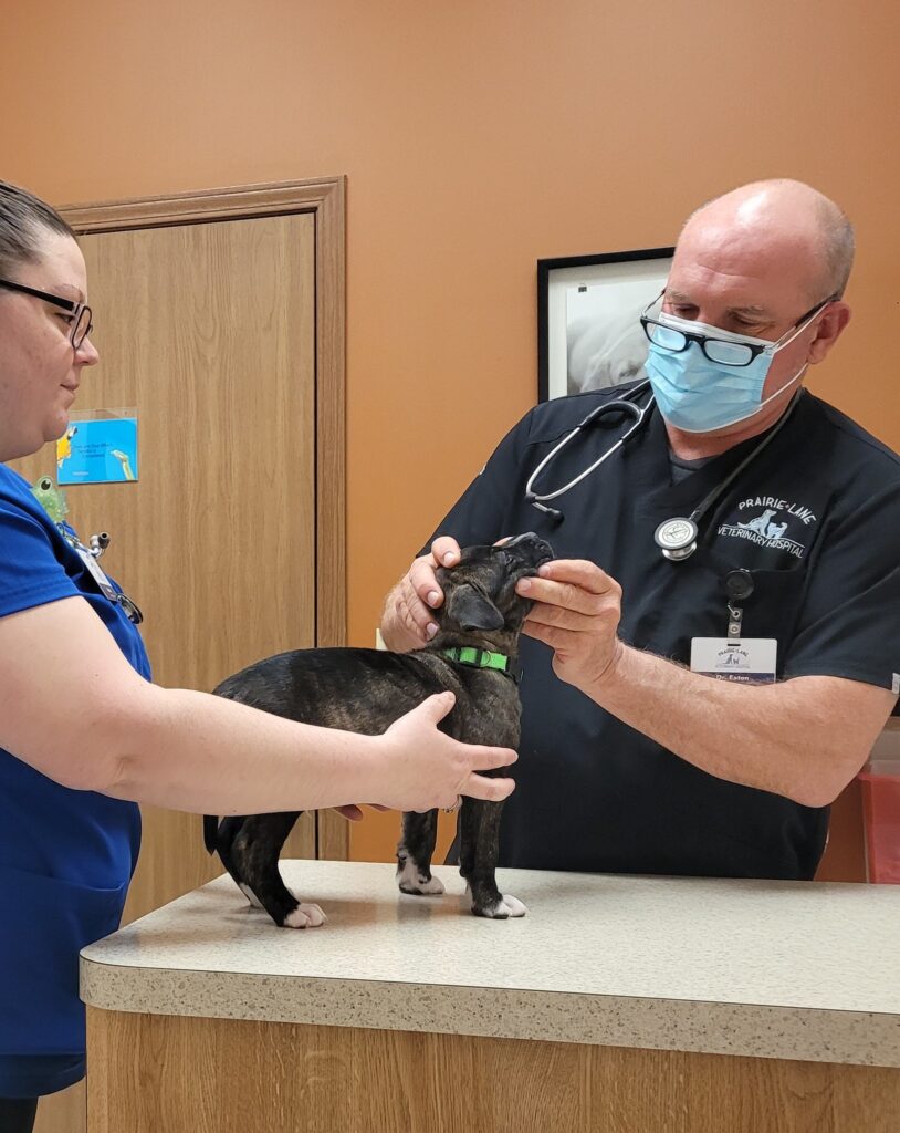 Prairie Lane Veterinary Hospital