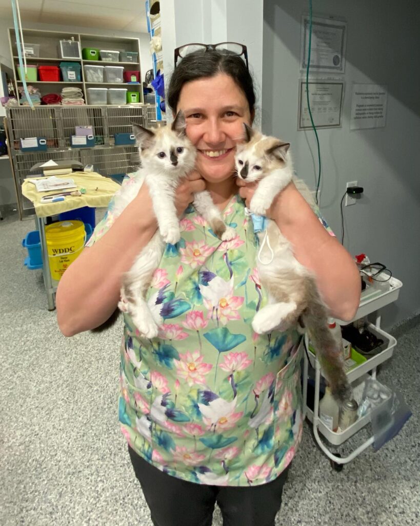 South Side Animal Hospital