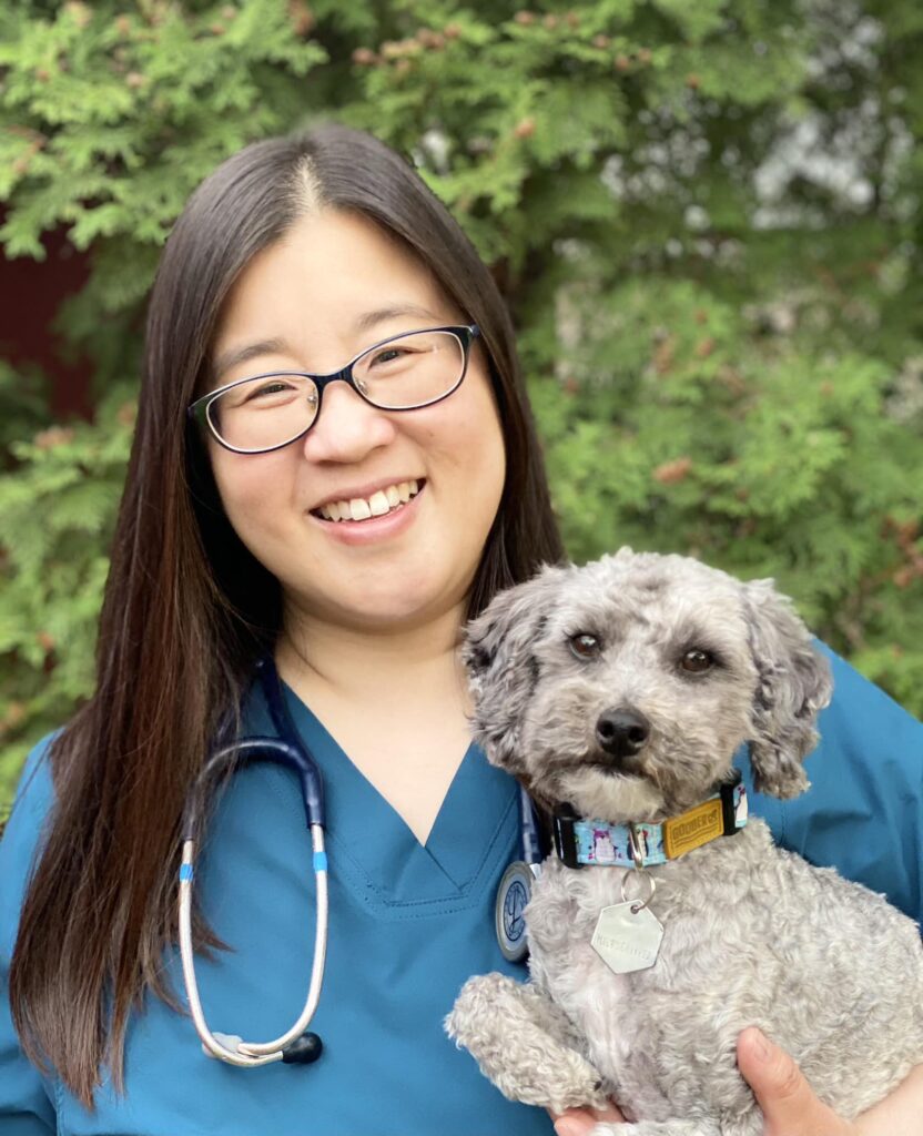 South Side Animal Hospital