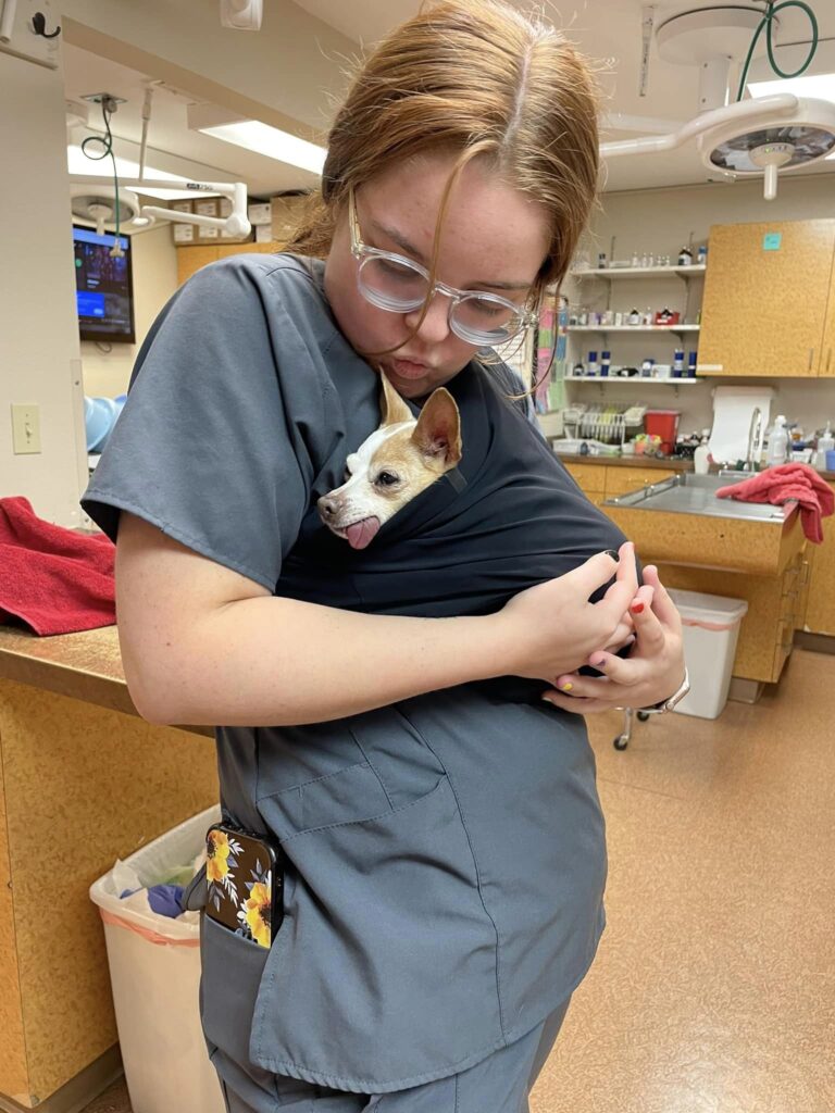 Westside Animal Hospital