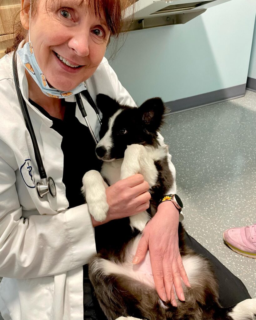 Pacific City Veterinary Care