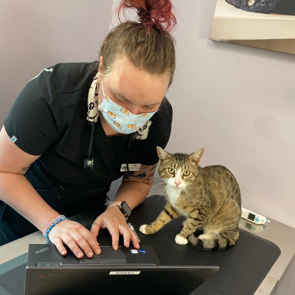 Pacific City Veterinary Care