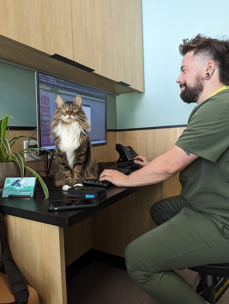 Roosevelt Animal Hospital