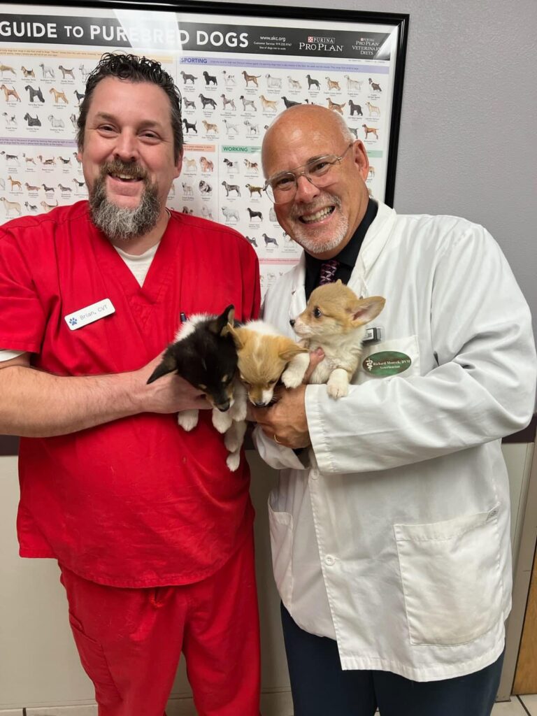 Austin Bluffs Animal Clinic