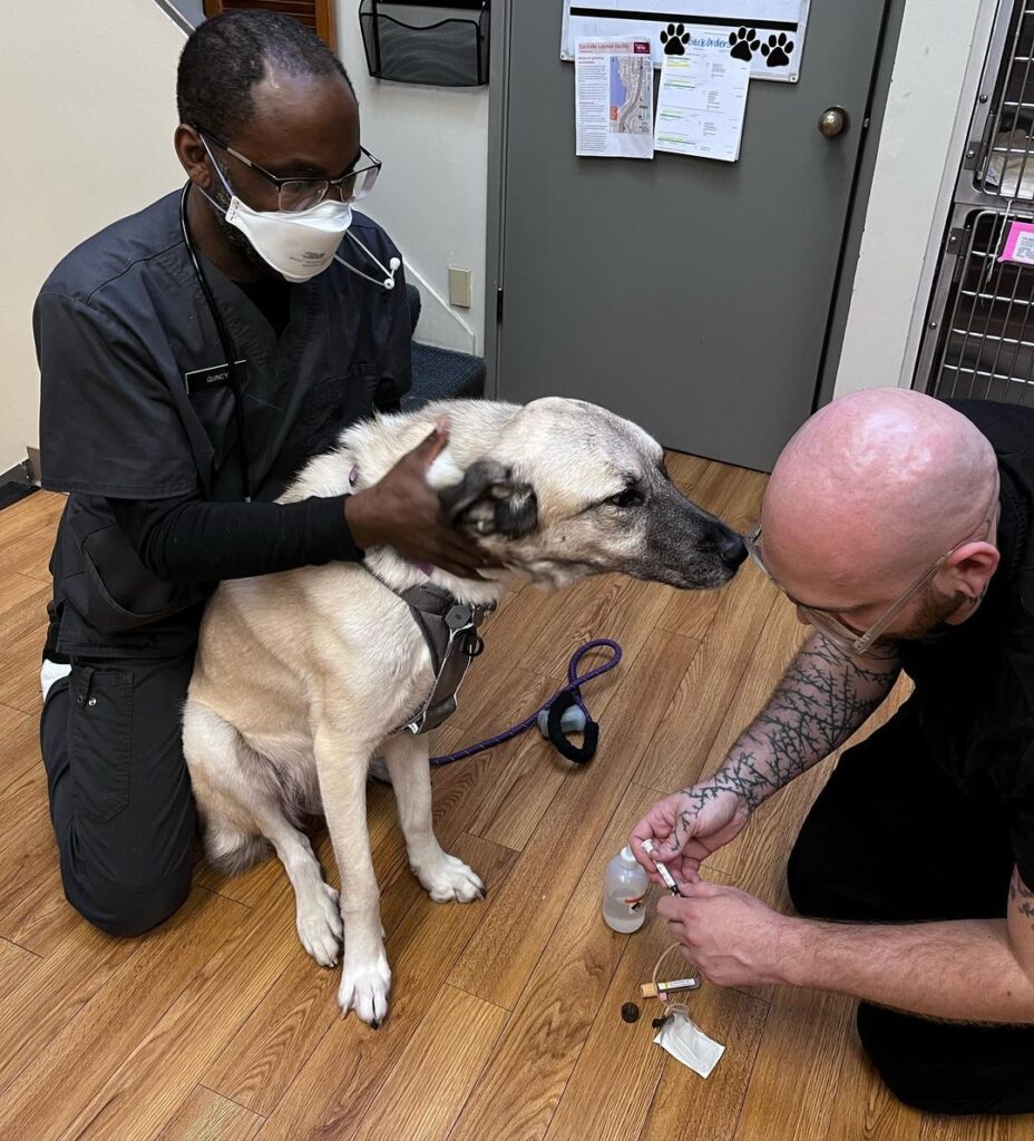 Eastlake Veterinary Hospital