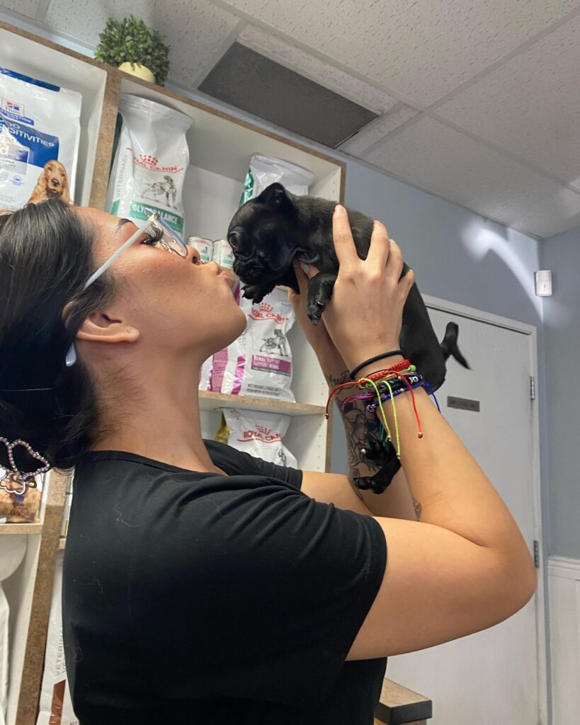 Downtown Animal Care Center