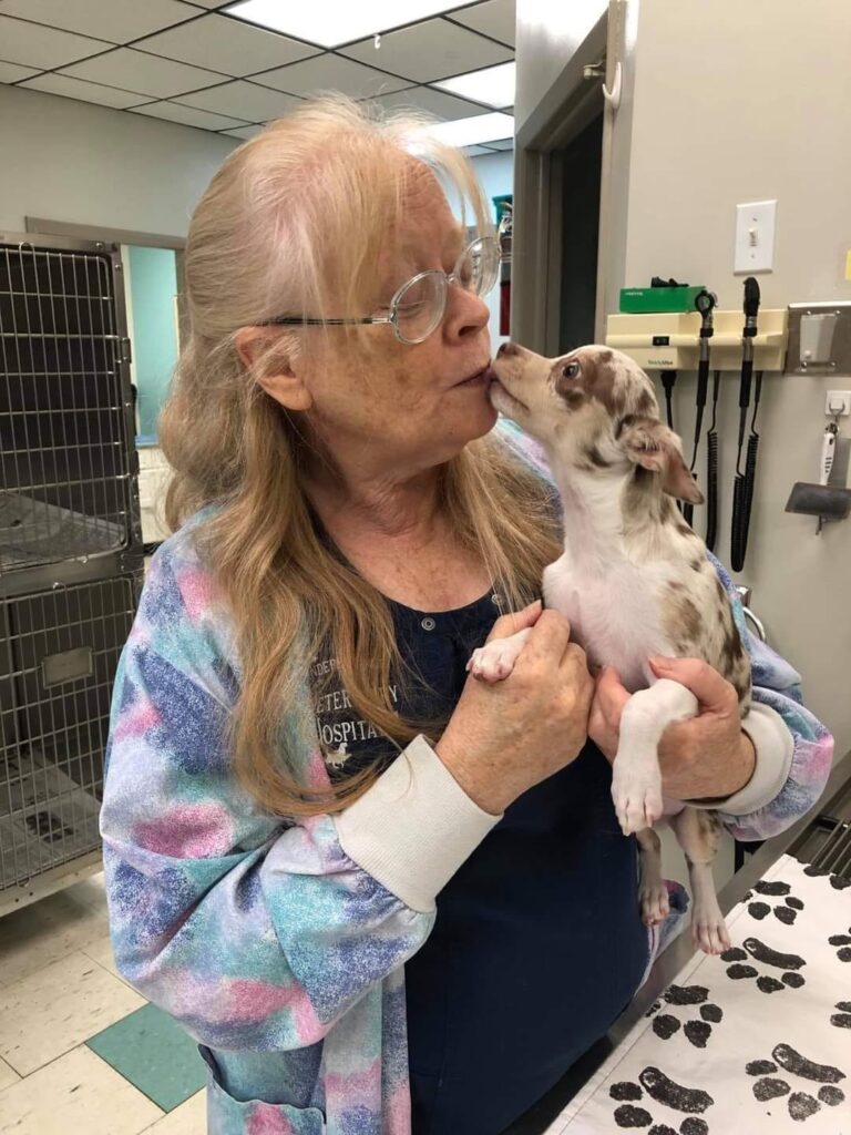 Independence Veterinary Hospital
