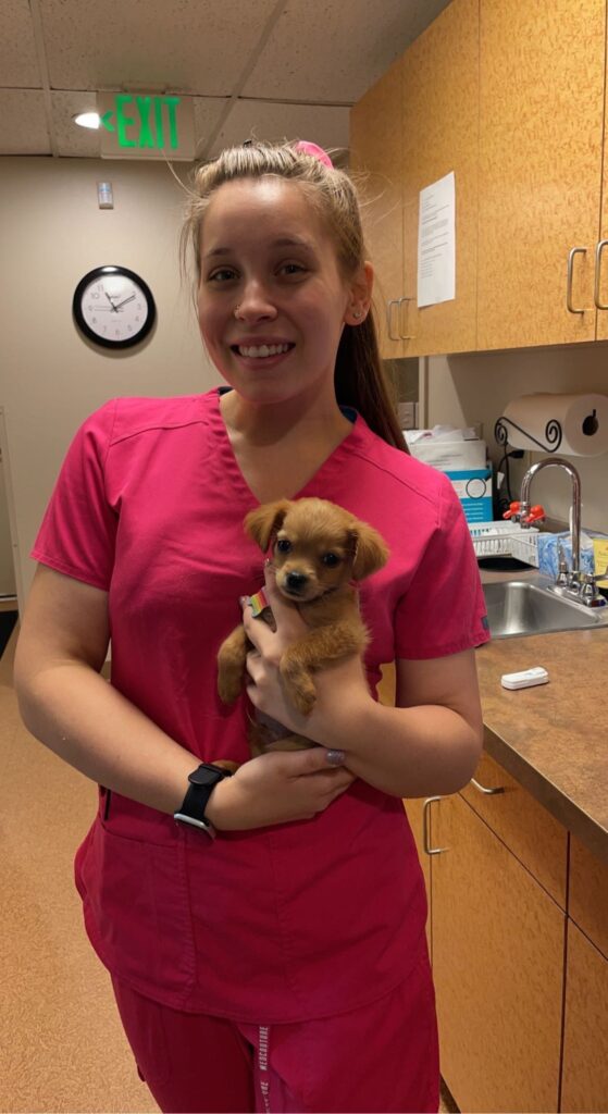 Westside Animal Hospital