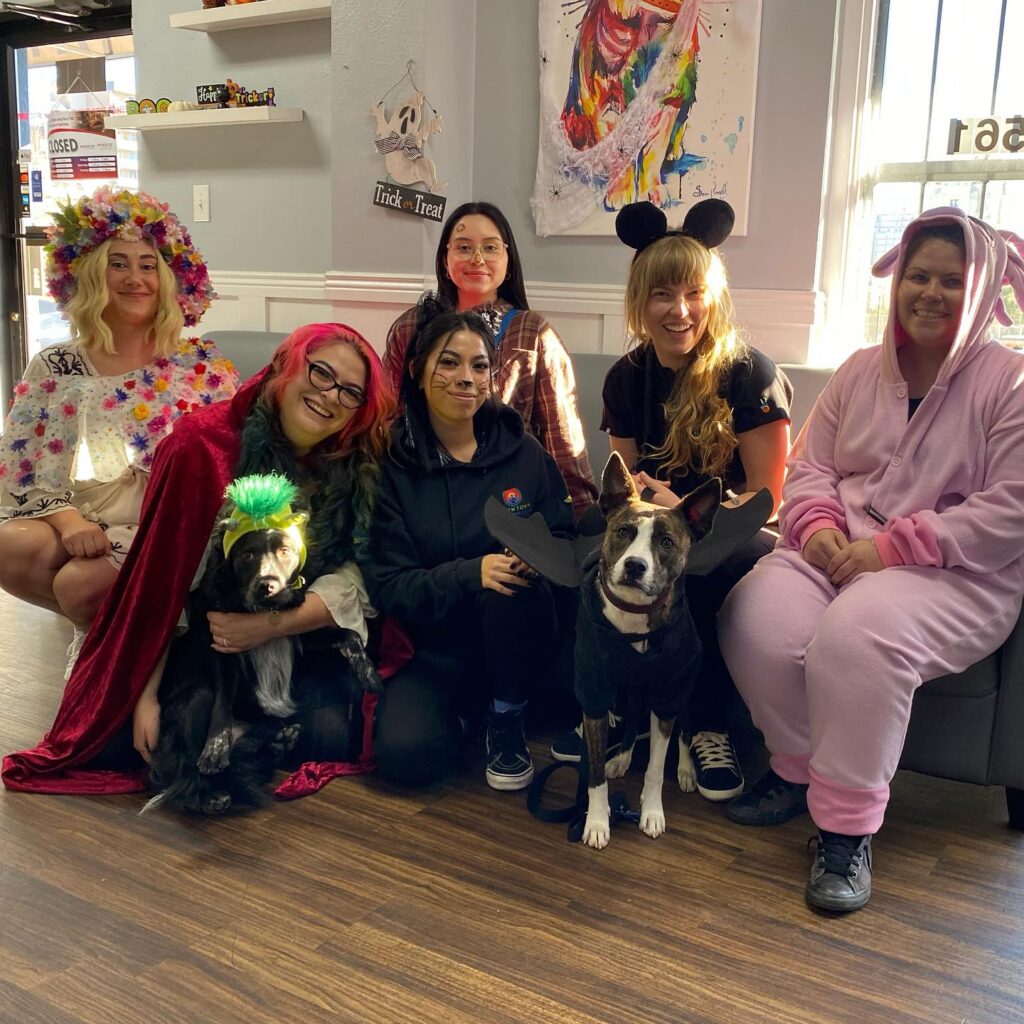 Downtown Animal Care Center
