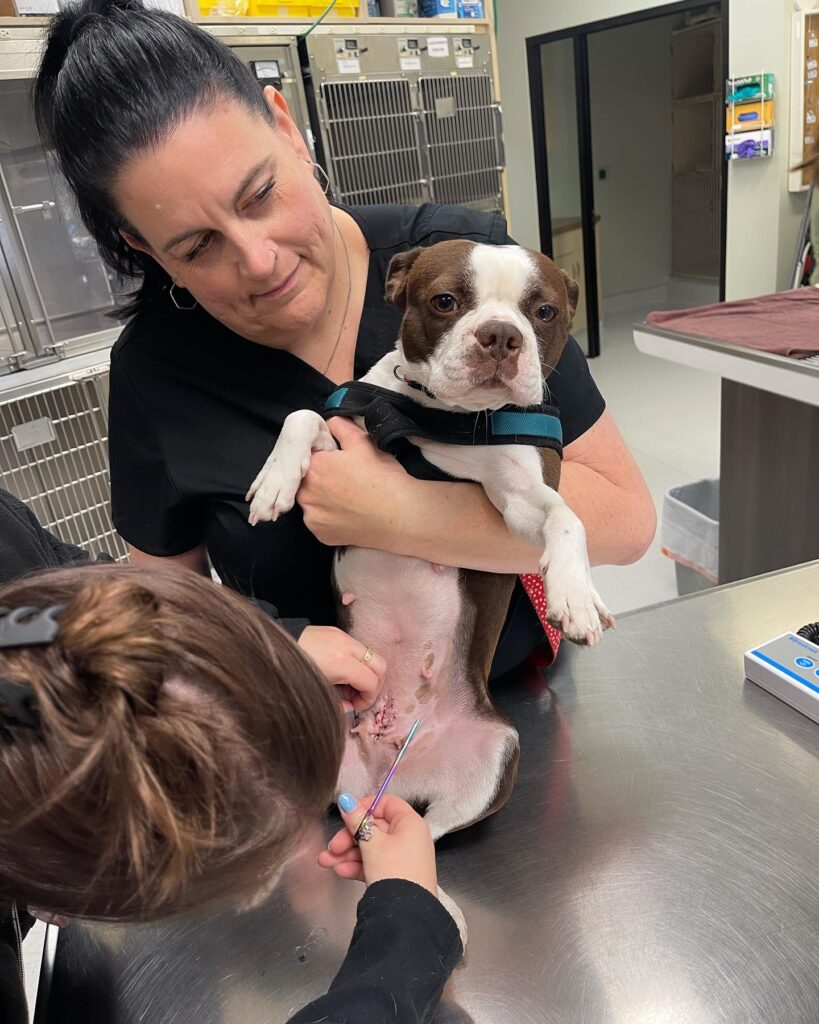 Bay Beach Veterinary Hospital