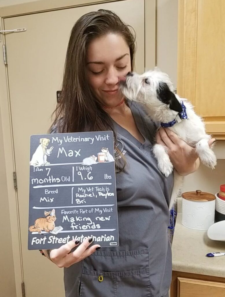 Fort Street Veterinarian