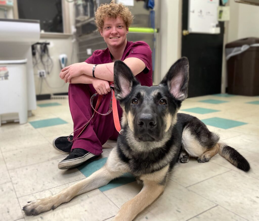 Independence Veterinary Hospital
