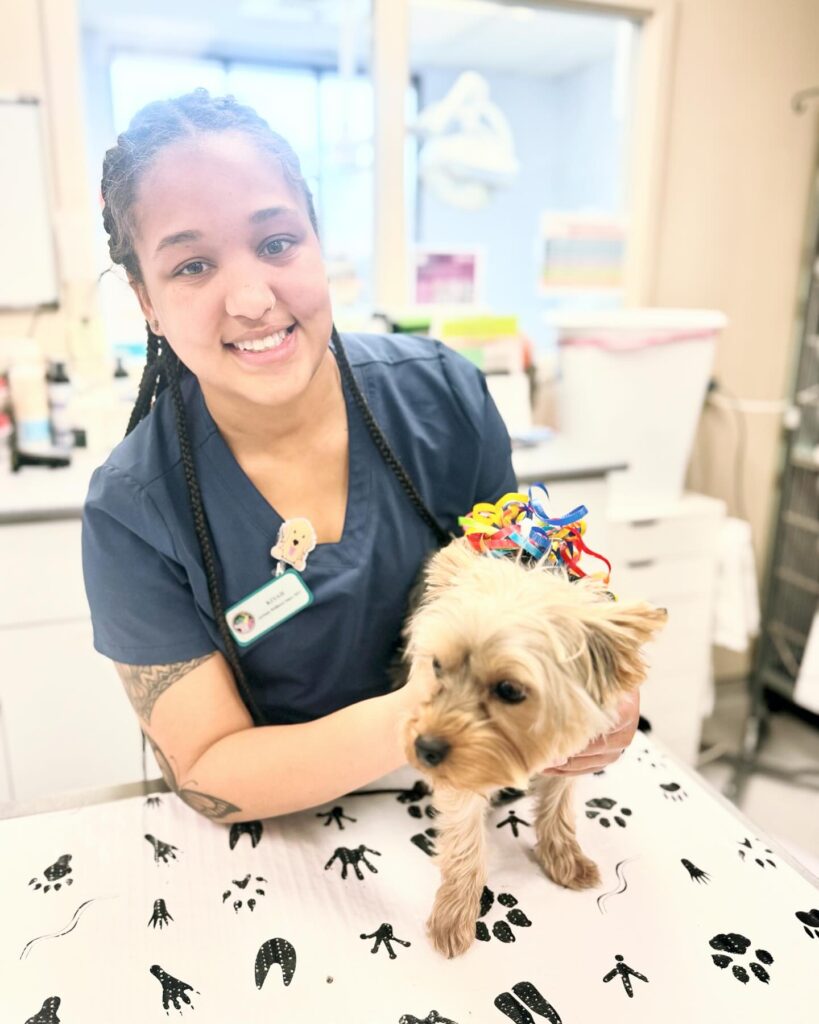 Atrium Animal Hospital