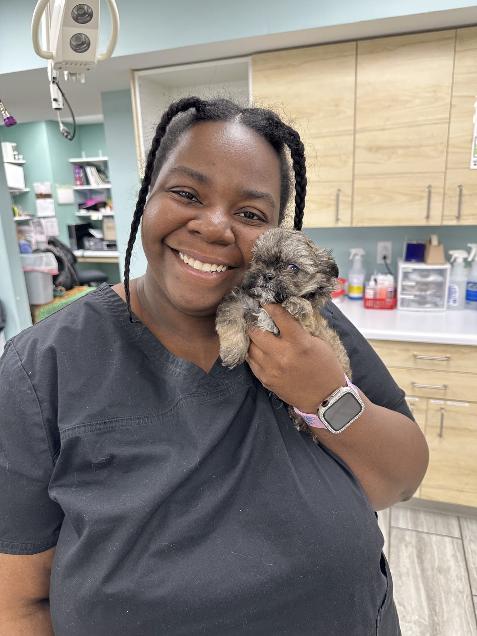 All Pet Express by Noah's