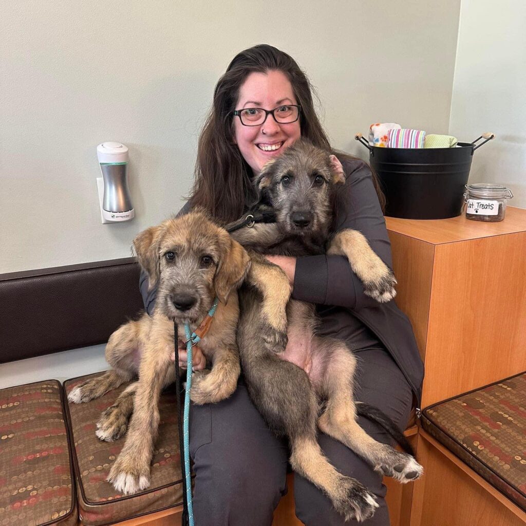 Pet Care Veterinary Hospital