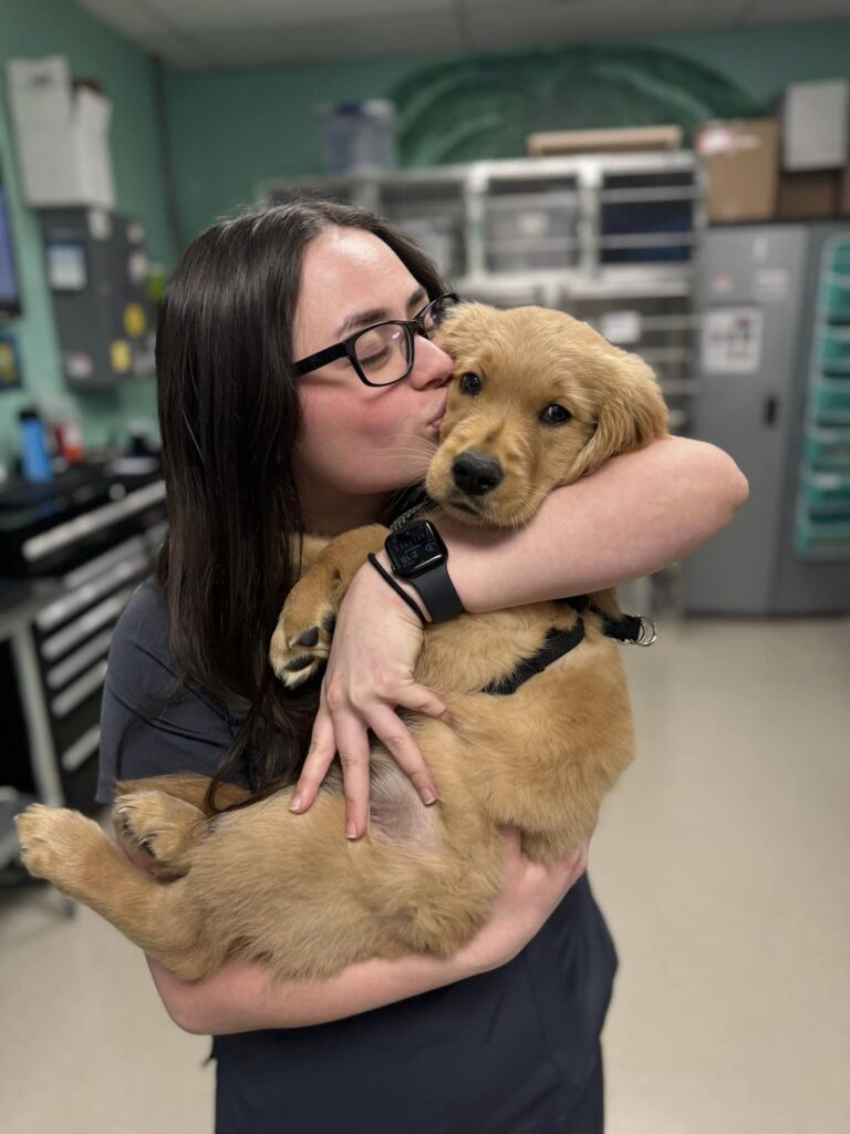 Strawbridge Animal Care