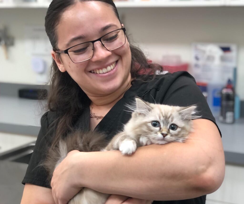 Crown Town Animal Hospital