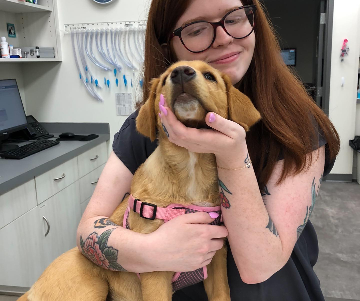 Crown Town Animal Hospital