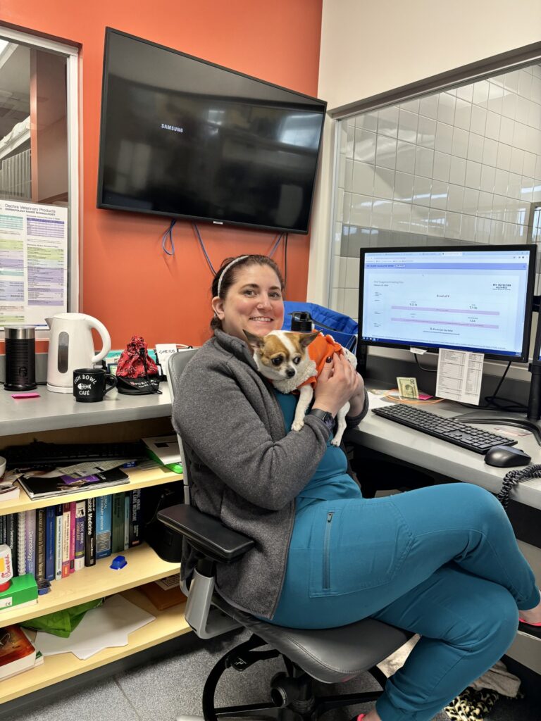 Eastern Animal Hospital