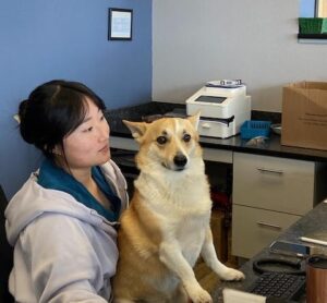 Aspen View Veterinary Hospital
