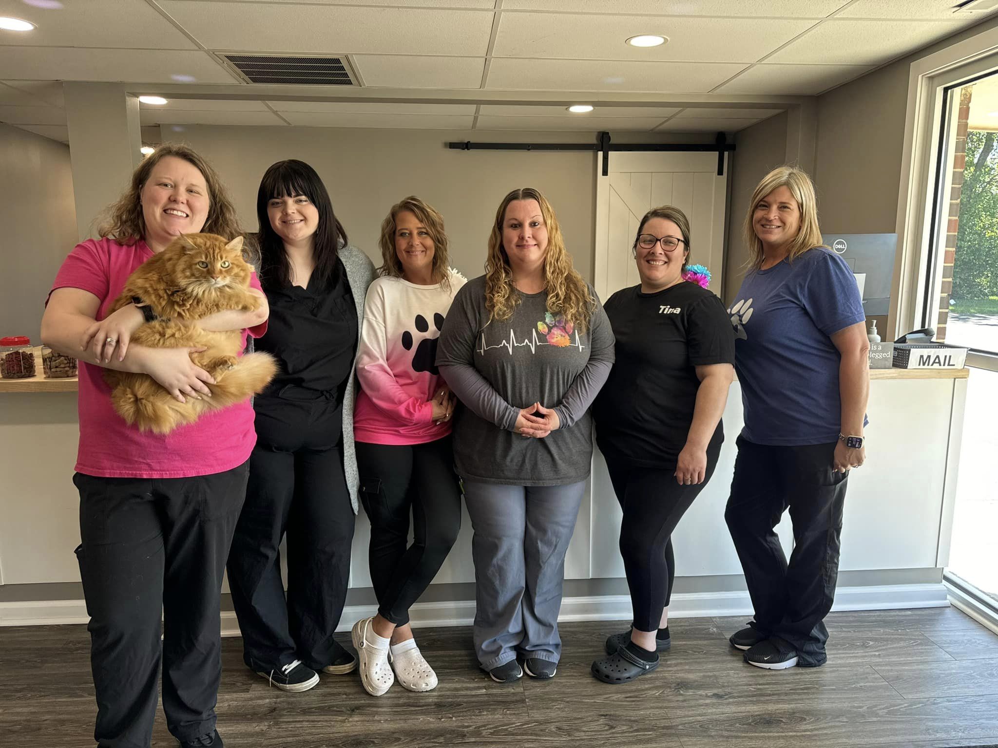Shelby Street Animal Clinic