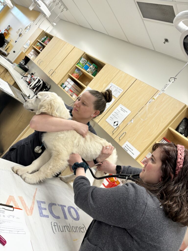 Eastern Animal Hospital