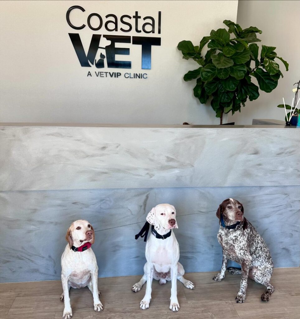 Coastal Vet