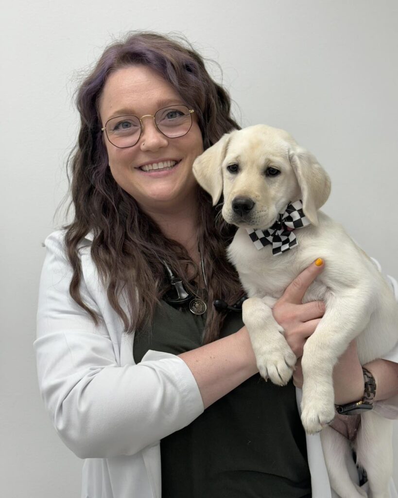Broad Ripple Animal Clinic