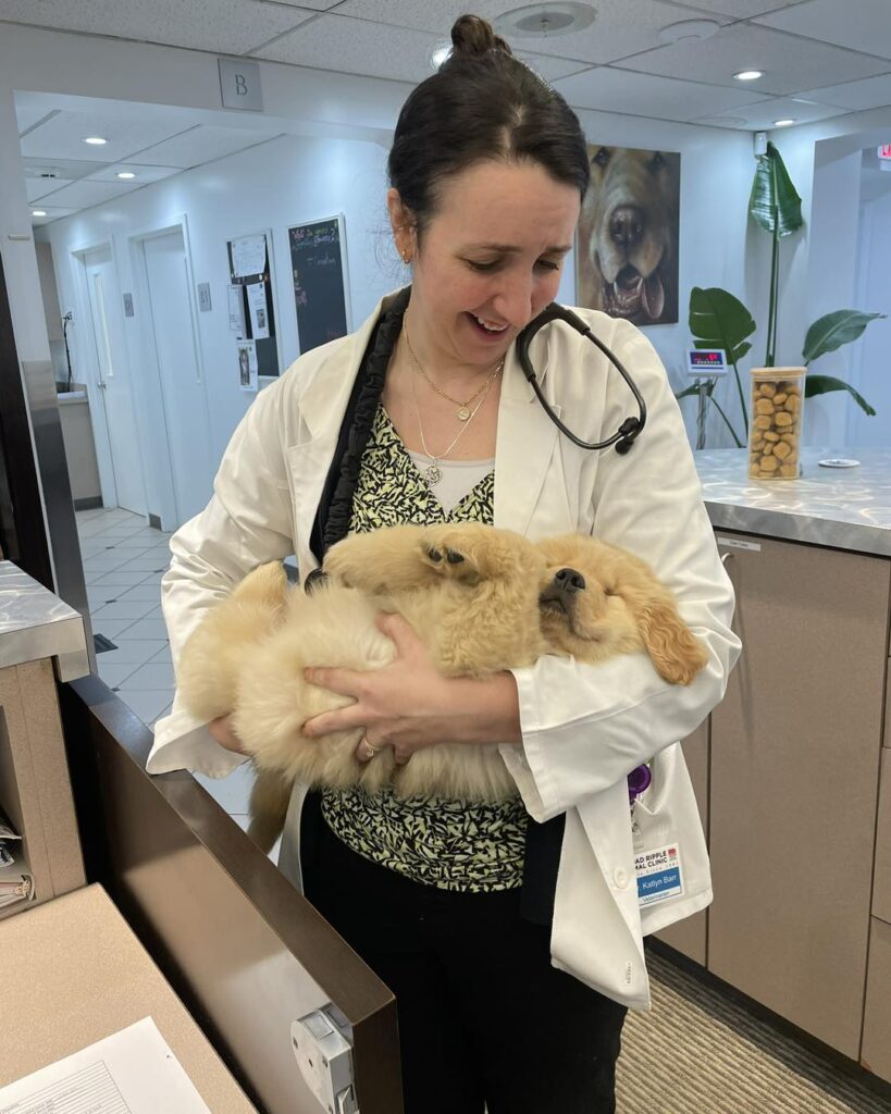 Broad Ripple Animal Clinic